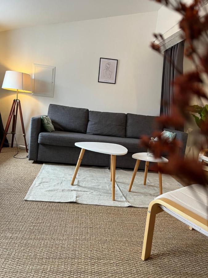 Loft Cosy - Centre Historique Climatise Leilighet Revel  Eksteriør bilde